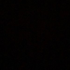 Meet your Posher, Daisy